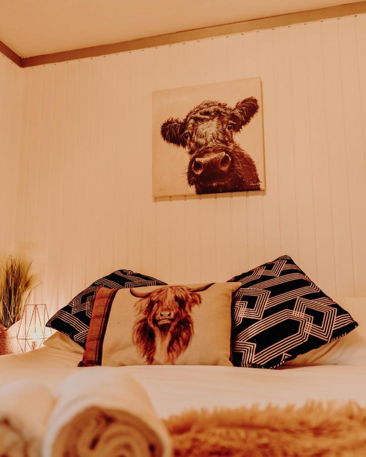 Wooden Cosy Retreat Hunters Quay Villa Dunoon Eksteriør billede